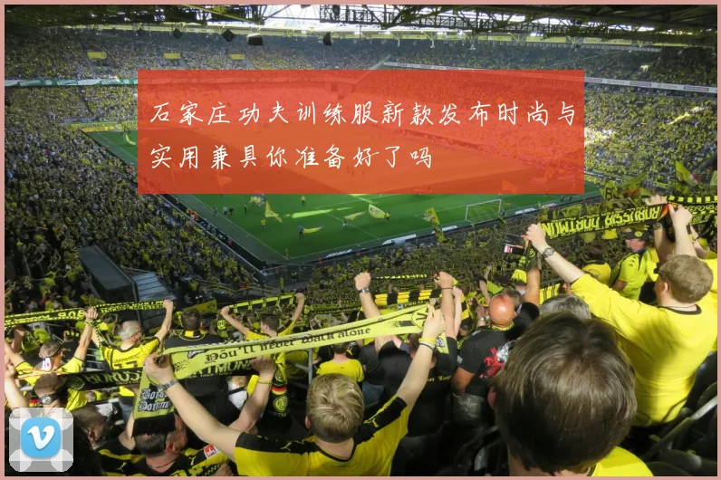 石家庄功夫训练服新款发布时尚与实用兼具你准备好了吗